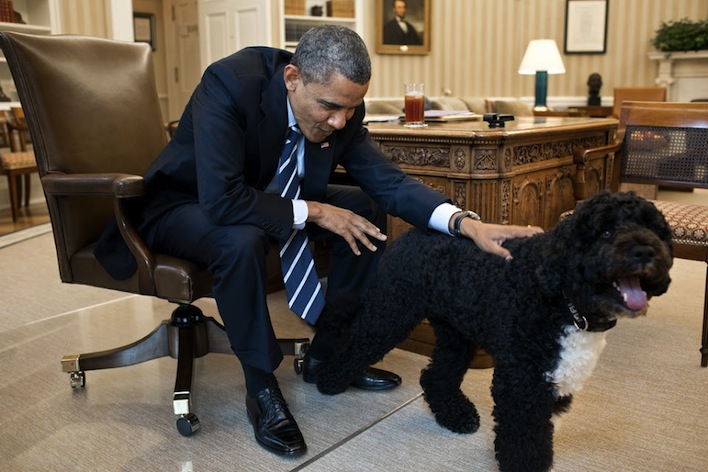 President-Barack-Obama-and-Bo-the-Obama-family-dog-in-the-Oval-Office