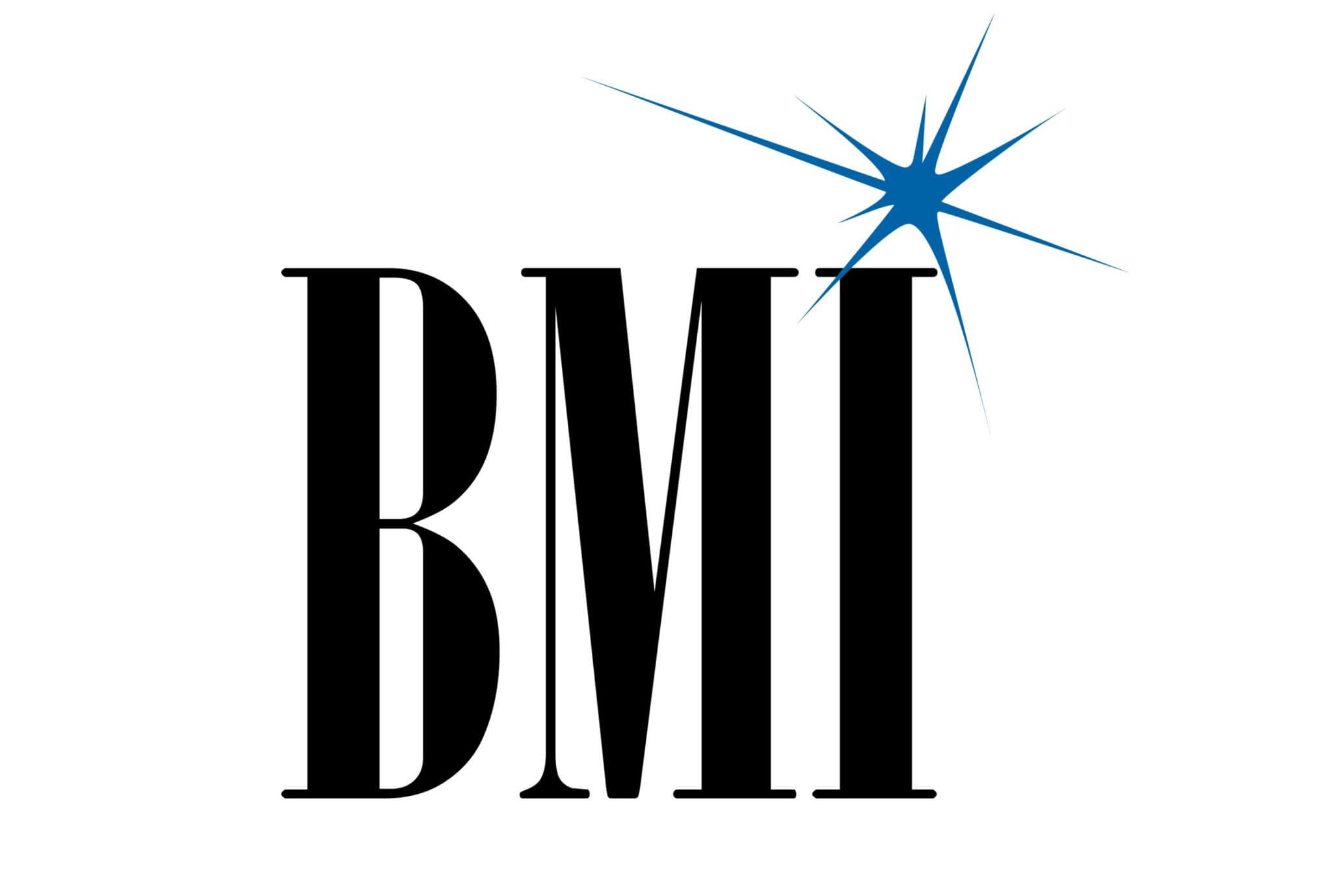 BMI blackBlue Logo scaled »