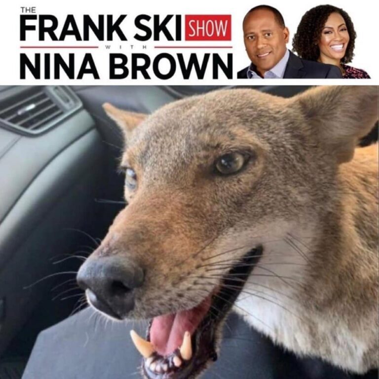 Frank Ski: Woman Searching for Dog Owner Picks Up Coyote?