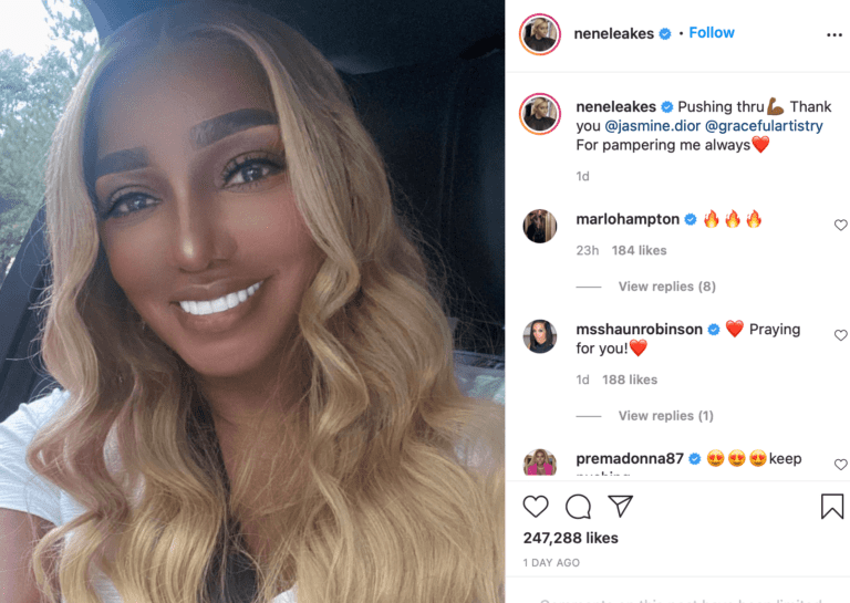 WOW: Nene Leakes’ New Look Makes her Unrecognizable (pics and video)