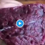 meat » Social Media