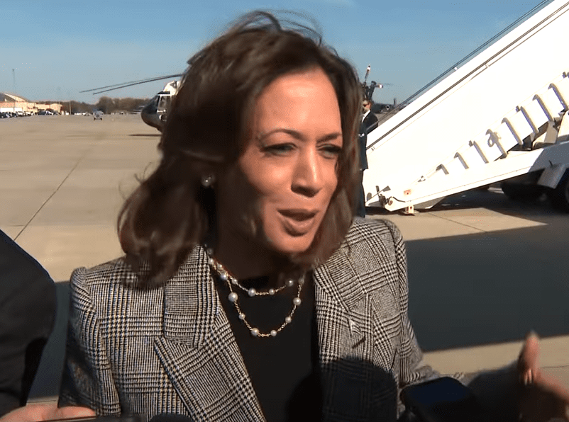 Kamala Harris Criticizes Trump's Divisive MSG Rally Speech (video)