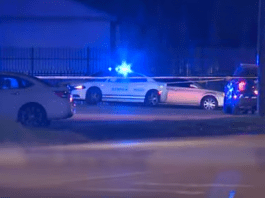 Memphis Gun Violence: One Killed, Two Hospitalized in Whitehaven