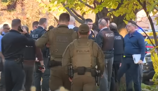 Mother Fatally Stabbed in Broad Daylight: Suspect Dead
