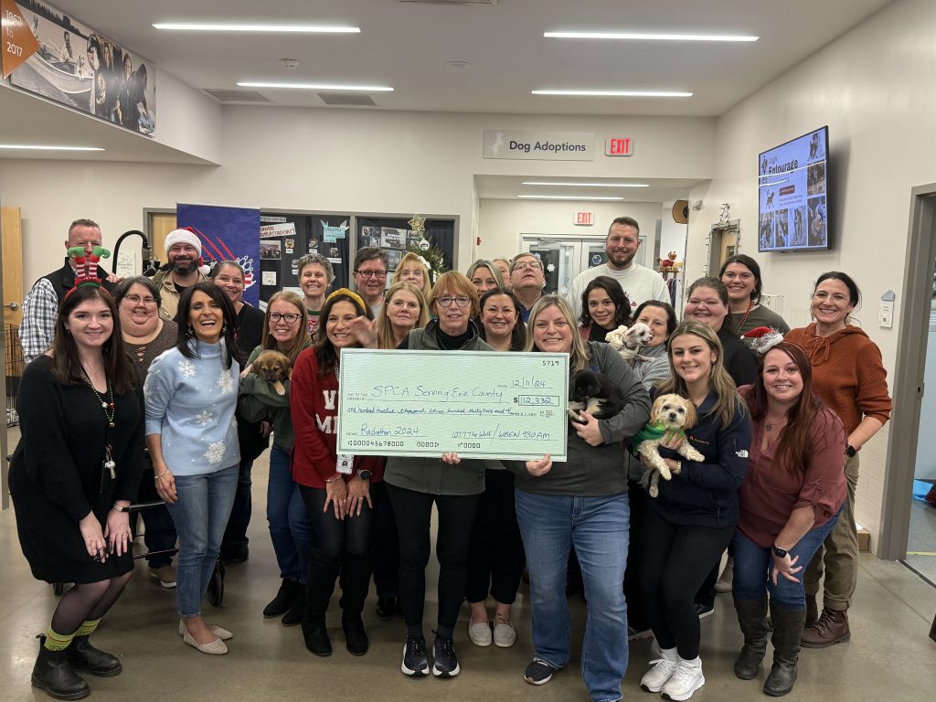 Audacy Buffalo Raised $120,000 for Annual “SPCA Serving Erie County Radiothon