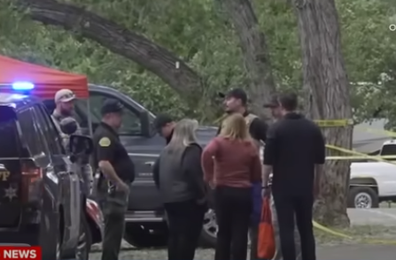 Gunman Opens Fire at Park Event, Victims Rushed to Hospital (Video)