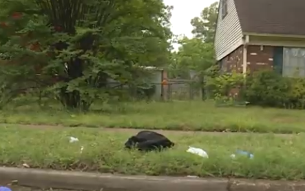 Sister Accidentally Shoots Girl in Foot with Real Gun (video)